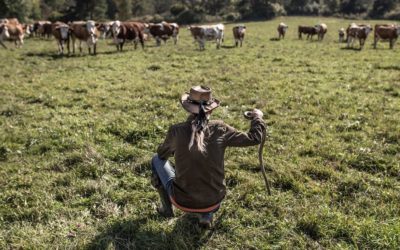 Projekcja filmów zrealizowanych przez Karpacką Grupę Filmową